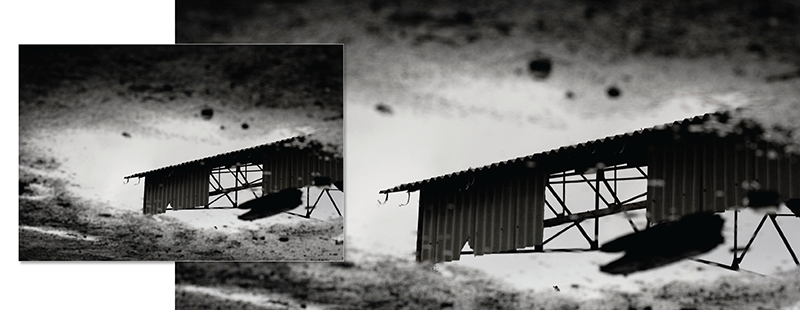 My bookphotoservice30